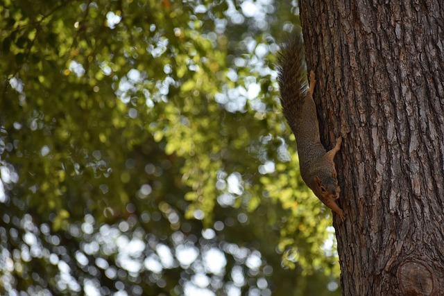 比赛期间 比赛期间