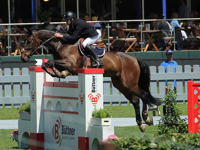 守队员的意 守队员的意