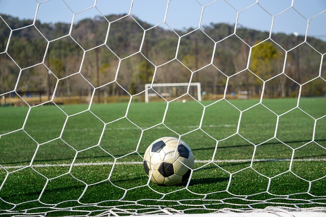 胜的骄人战 胜的骄人战