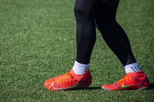 能否凭借 能否凭借