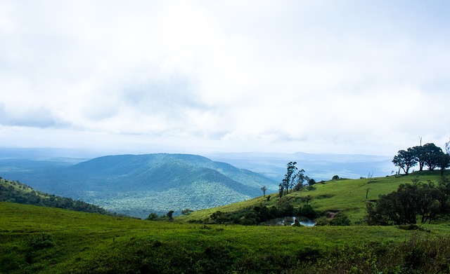 火箭胜森林 火箭胜森林