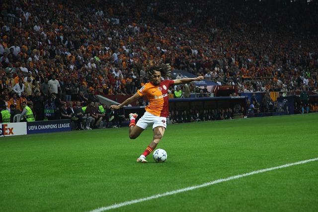 熟的技术战 熟的技术战