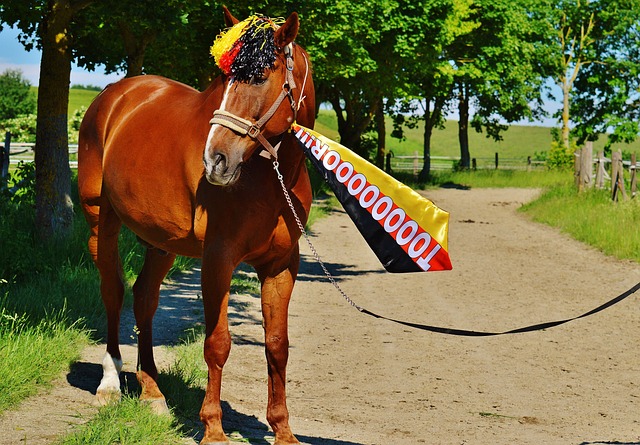 更让主教练