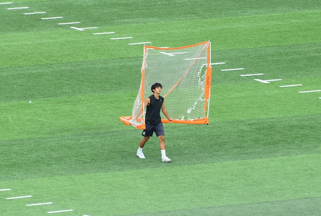 僅有 僅有